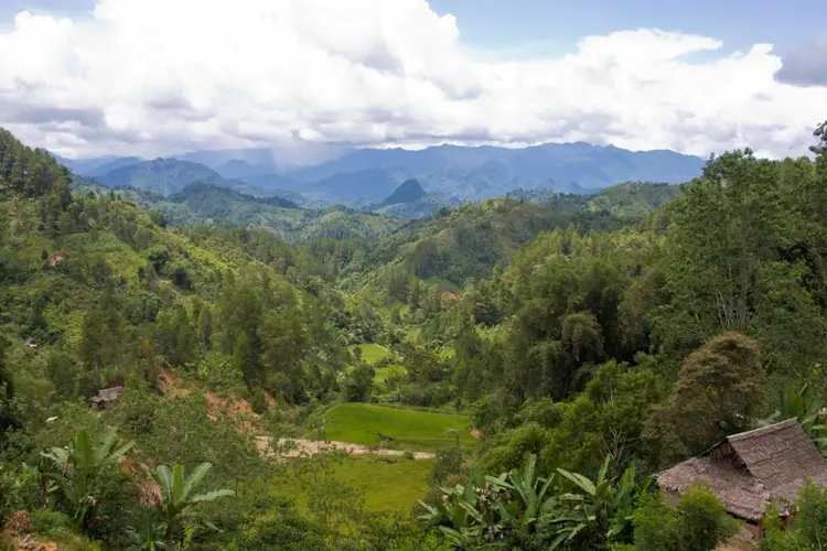 Uma anna tanete dipahandam mambela